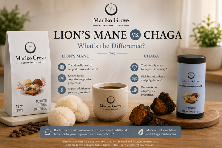 Lion's Mane vs Chaga: What's the Difference?